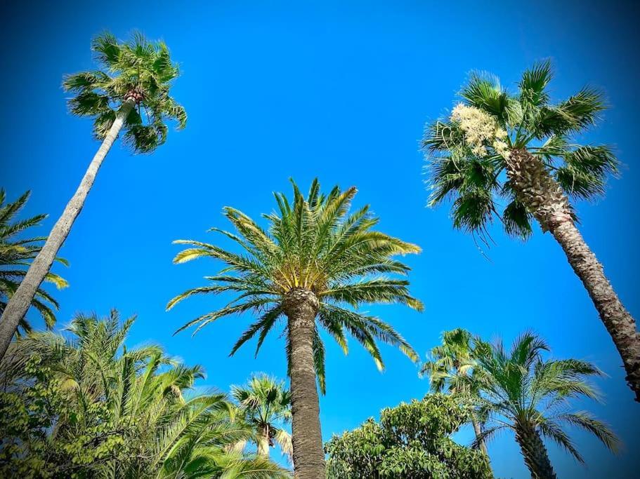 Port-Frejus, Le Paladien, Appartement 2 Pieces Climatise, Terrasse & Parking Bagian luar foto